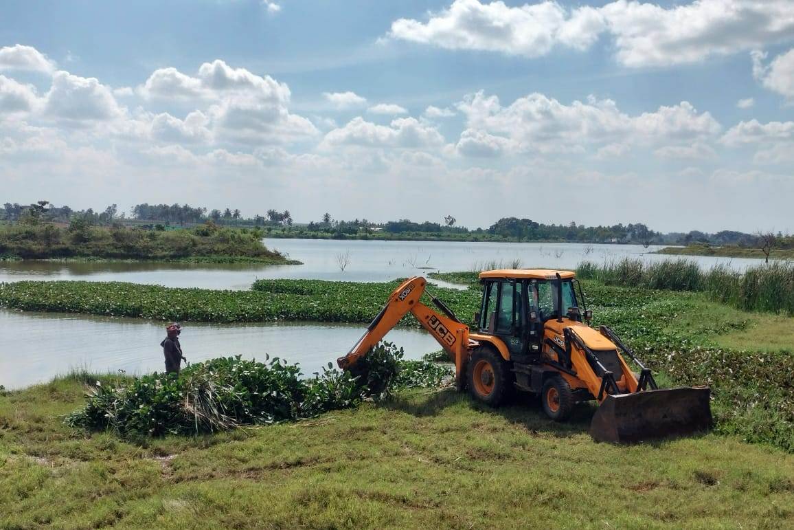From Scarcity to Surplus: How One Water Conservation Project Can Change an Entire Ecosystem